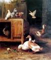 unknow artist Duck and Pigeon china oil painting image